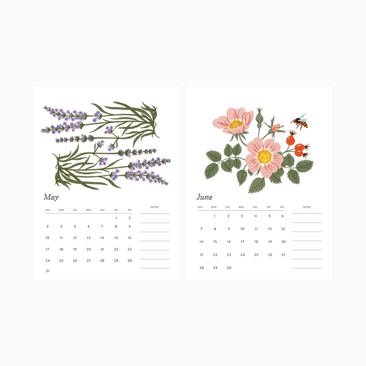 Botanica Paper Co. - 2026 Botanical Art Desk Calendar