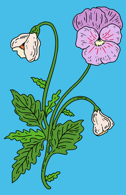 Capricorn Pansy Print