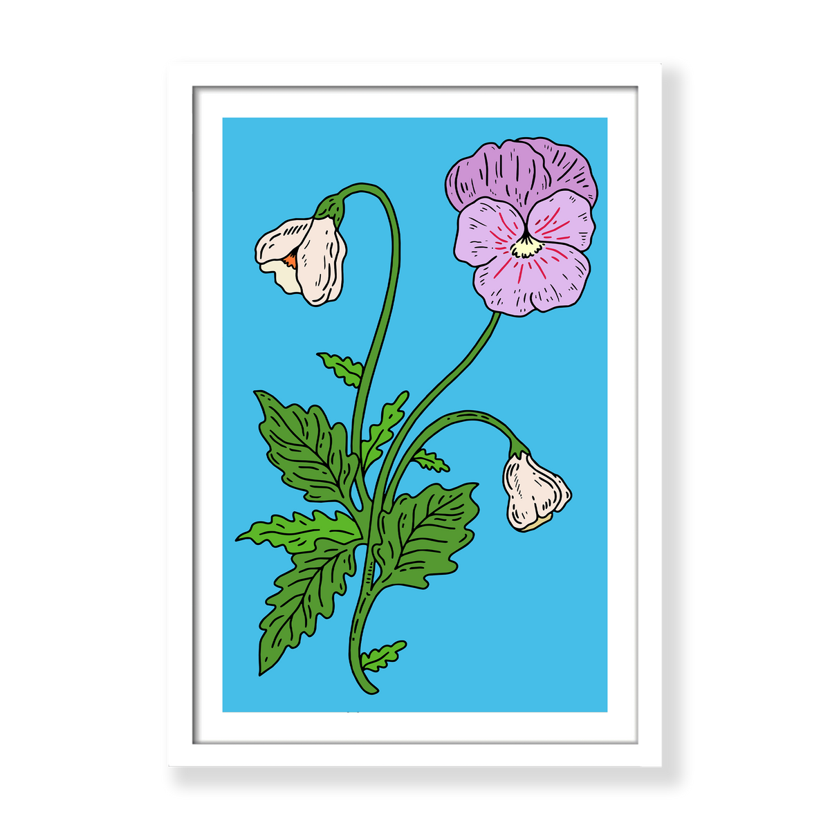Capricorn Pansy Print