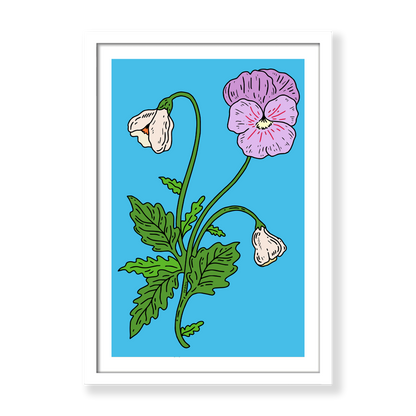 Capricorn Pansy Print