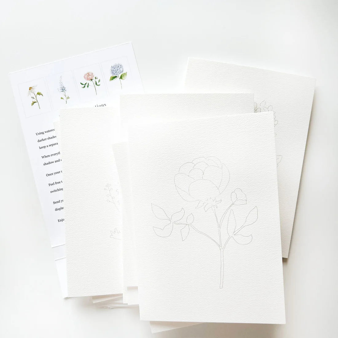 Emily Lex Studio - Paintable Notecards