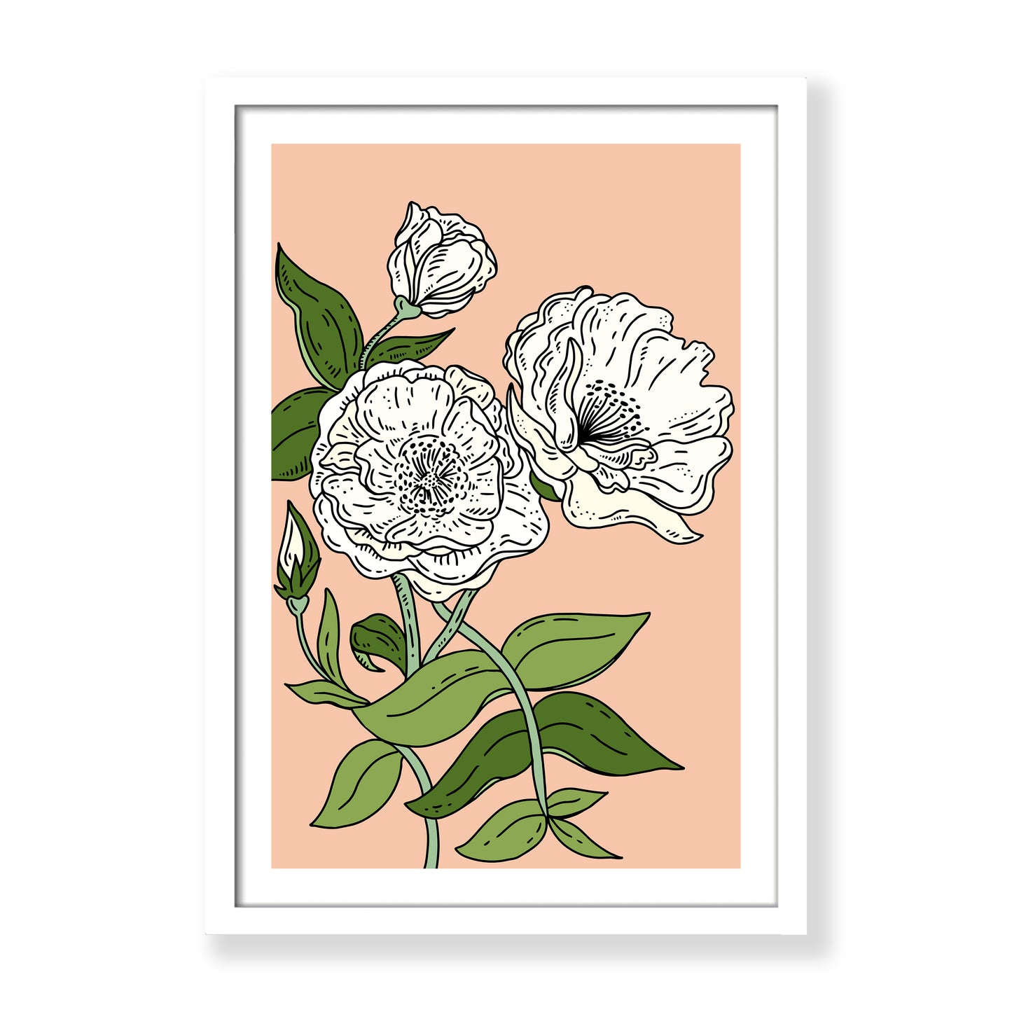 White Roses Botanical Print