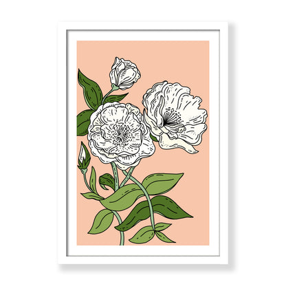 White Roses Botanical Print